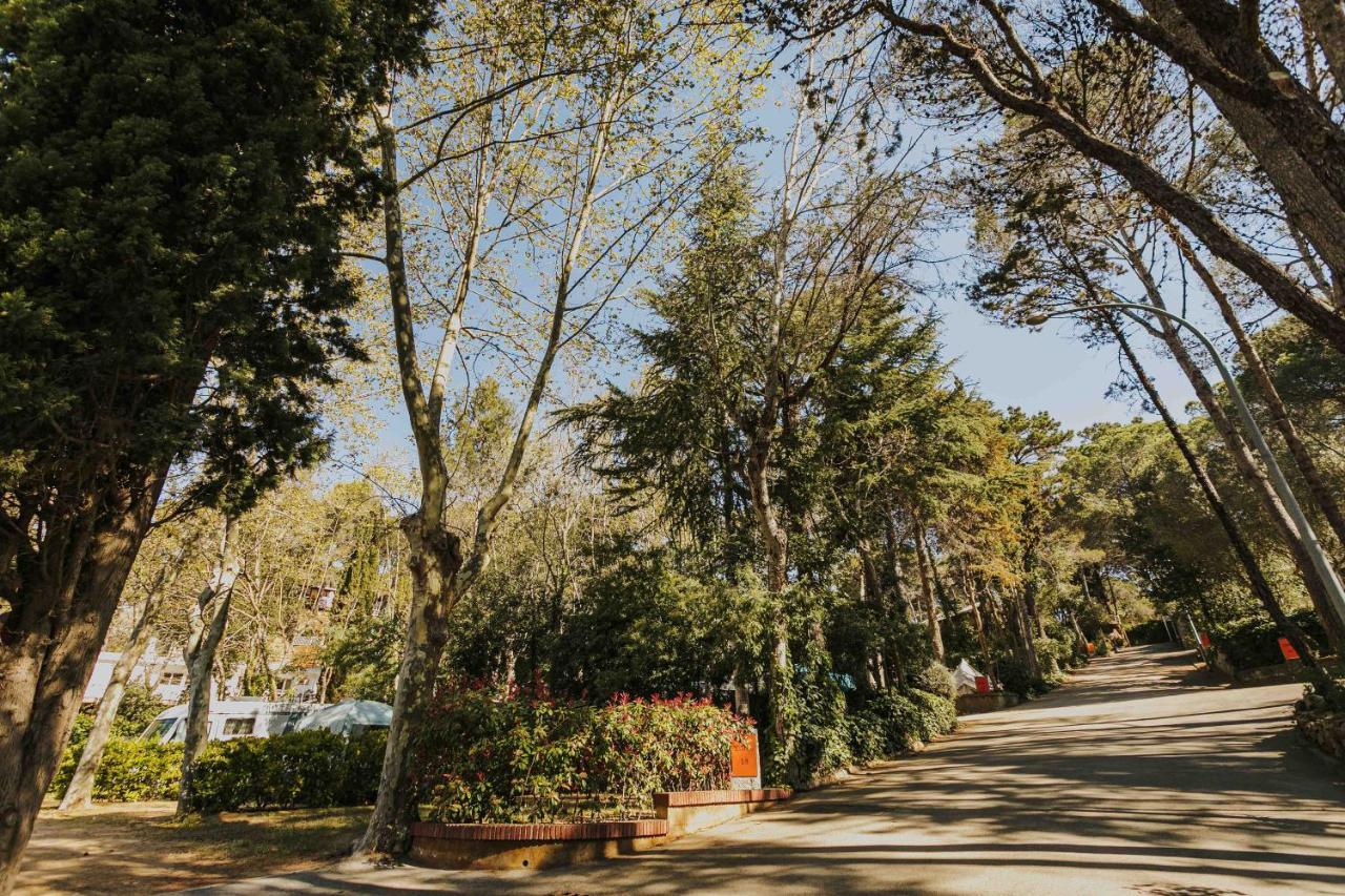 Camping Santa Elena Lloret de Mar Dış mekan fotoğraf