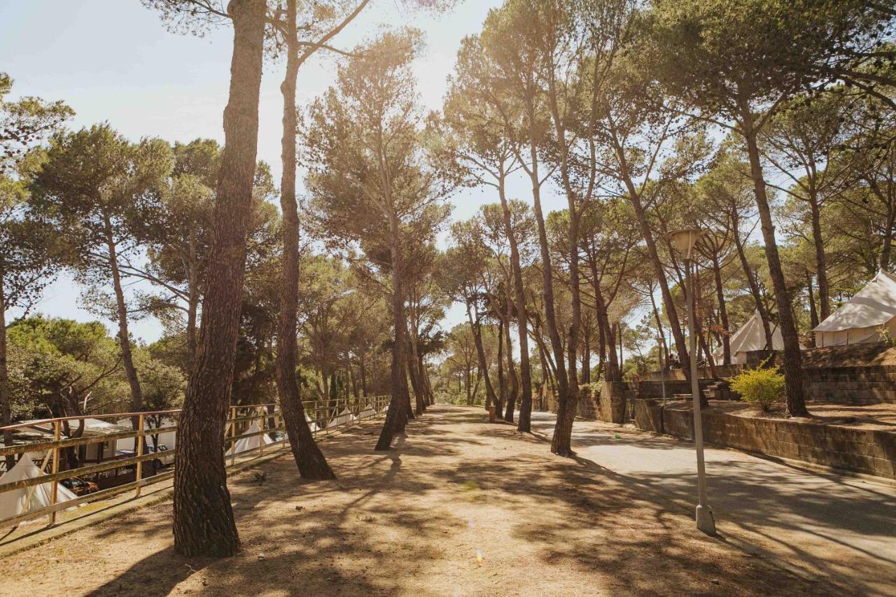 Camping Santa Elena Lloret de Mar Dış mekan fotoğraf